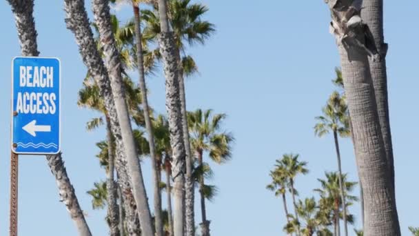 Tengerparti jel és tenyér a napos Kaliforniában, USA-ban. Pálmafák és tengerparti táblák. Oceanside csendes-óceáni üdülőhely esztétika. Az utazások és a nyári vakációk szimbóluma. Tengerparti sétány — Stock videók