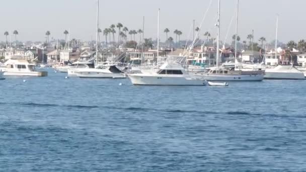 Newport Beach Harbor, víkend marina resort s jachtami a plachetnicemi, Pacific Coast, Kalifornie, USA. Luxusní předměstí Waterfront v Orange County. Drahá prázdninová destinace na pláži — Stock video