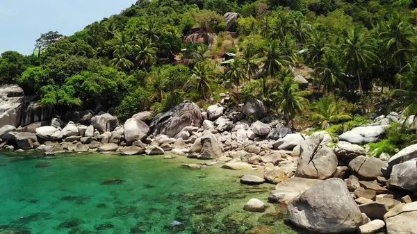 热带棕榈和石头在小海滩上 在阳光普照的泰国 许多绿色奇异的棕榈树生长在黄海平静的蓝海附近的岩石海岸上 高涛异国情调的天堂岛 — 图库照片