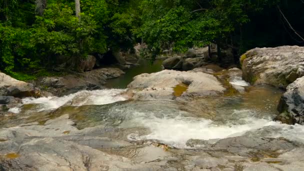 Dağ nehri yağmur ormanlarında akıyor. Bitmek bilmeyen meditasyon videoları, tropikal egzotik orman ormanlarında akış. Dereler taşların arasında, ormanın derinliklerinde akıyor. Şelale şelaleleri, yeşillikler ve ağaçlar. Kusursuz döngü — Stok video