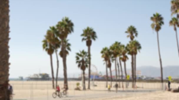 Esthétique plage californienne, les gens font du vélo sur une piste cyclable. Fond flou et déconcentré. Parc d'attractions sur jetée et palmiers à Santa Monica american Pacific ocean resort, Los Angeles CA USA — Video