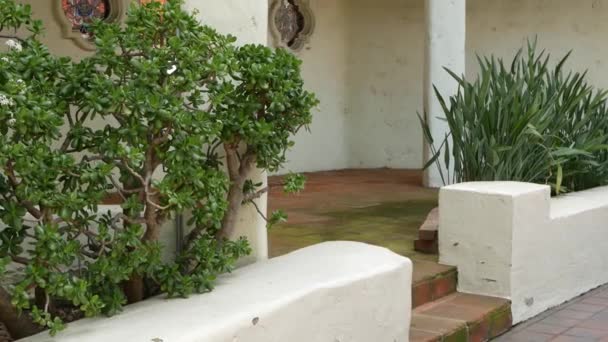 Mediterranean rustic building, empty side street. Green garden with natural greenery in spanish colonial style suburb. Evergreen succulent plants near white rural house. Mexican countryside aesthetic — Stock Video