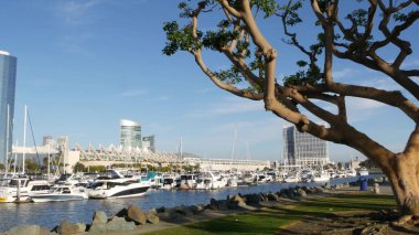 Embarcadero marina parkı, USS Midway ve Convention Center yakınlarındaki büyük mercan ağaçları, Seaport Village, San Diego, California USA. Lüks yatlar ve oteller, metropol şehir silueti ve yükselen gökdelenler.