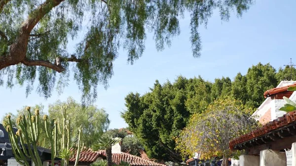 Stile Coloniale Messicano Periferia Esterno Casa Ispanica Verde Rigoglioso Giardino — Foto Stock