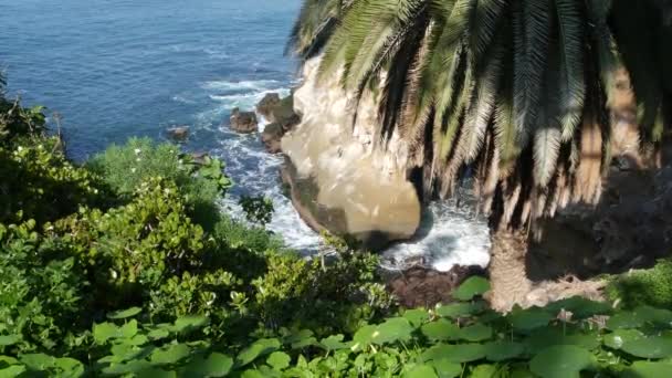 From above sea cave in La Jolla Cove. Lush foliage and sandstone grotto. Rock in pacific ocean lagoon, waves near steep cliff. Popular tourist landmark, natural arch in San Diego, California, USA — Stock Video