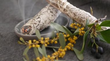 Kurutulmuş beyaz adaçayı lekesi, gevşeme ve aromaterapi. Psişik okült ayin, bitkisel şifa, yoga ya da aura temizliği sırasında lekeler. Esrarengiz ayinler ve fal bakımı için temel tütsü