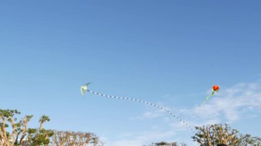 Embarcadero Marina Parkı, San Diego, Kaliforniya ABD 'deki ağaçların üzerinde mavi gökyüzünde uçan renkli uçurtma. Çocuklar havada süzülen çok renkli bir oyuncak. Çocukluk, yaz ve boş zaman aktivitelerinin sembolü