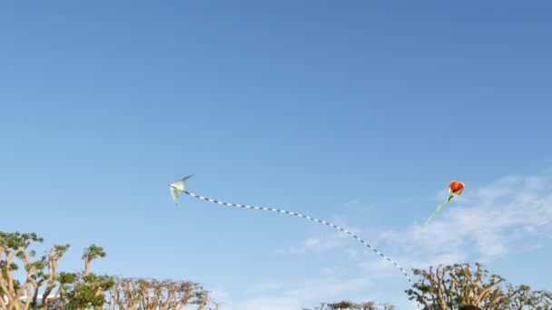 エンバカデロ・マリーナ・パーク(カリフォルニア州サンディエゴ)の木々の上を青空に舞うカラフルな凧。風に乗って空中を滑走する子供たちのマルチカラーおもちゃ。子供時代、夏、レジャー活動のシンボル — ストック動画