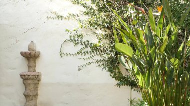 Akdeniz kırsal binası, boş yan sokak. İspanyol sömürge tarzı banliyölerde doğal yeşilliği olan yeşil bir bahçe. Beyaz kır evinin yakınındaki Evergreen succulent bitkileri. Meksika kırsal estetiği.
