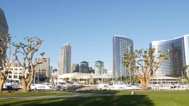 Embarcadero marina park, big coral trees near USS Midway and Convention Center, Seaport Village, San Diego, California USA. Yates y hoteles de lujo, skyline urbano de metrópolis y rascacielos — Vídeos de Stock