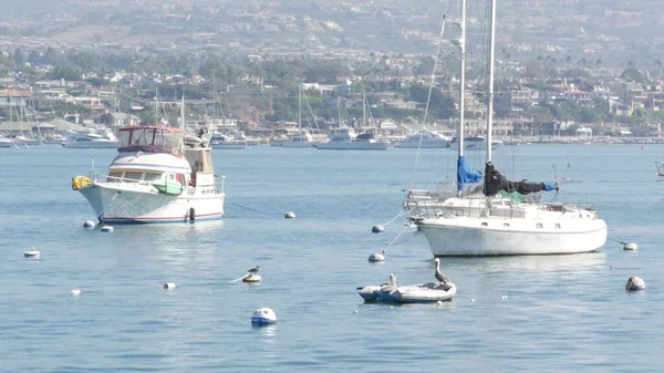 ニューポートビーチ港 ヨットや帆船と週末マリーナリゾート 太平洋沿岸 カリフォルニア州 アメリカ オレンジ郡のウォーターフロントの高級郊外の不動産 高価なビーチフロントの休暇先 — ストック写真
