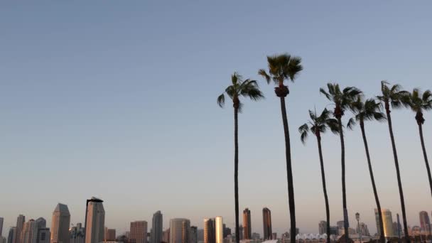 Metropolis şehir silueti, yüksek gökdelenler, San Diego Körfezi, Kaliforniya ABD. Gün batımında Pasifik Okyanusu Limanı, Coronado Adası manzaralı. Şehir merkezindeki binalar ve palmiye ağaçlarının siluetleri — Stok video