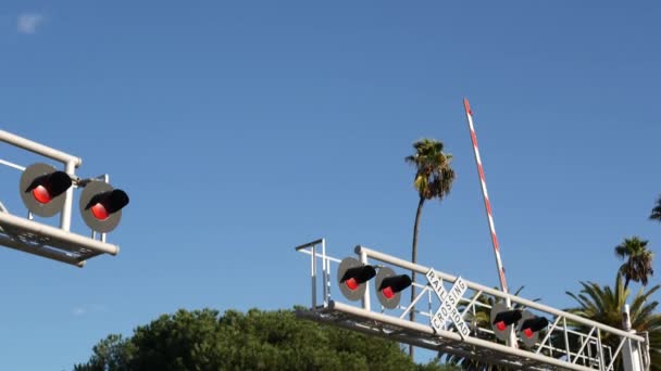 Señal de advertencia de cruce de nivel en EE.UU. Aviso cruzado y semáforo rojo en la intersección de carreteras ferroviarias en California. Transporte ferroviario símbolo de seguridad. Señal de precaución sobre el peligro y la vía del tren — Vídeos de Stock