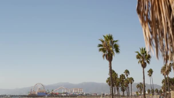 加州海滩美观,经典的摩天轮,圣莫尼卡太平洋度假胜地码头上的游乐园.夏季标志性景观，棕榈树和天空，象征洛杉矶与复制空间，CA美国 — 图库视频影像