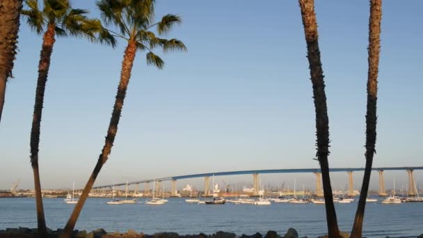 Famoso puente de automóvil Coronado en el condado de San Diego, California, EE.UU. Yates de lujo anclados en la bahía del Océano Pacífico, puerto en la ciudad americana. Infraestructura de transporte para automóviles sobre el mar y palmeras — Vídeos de Stock