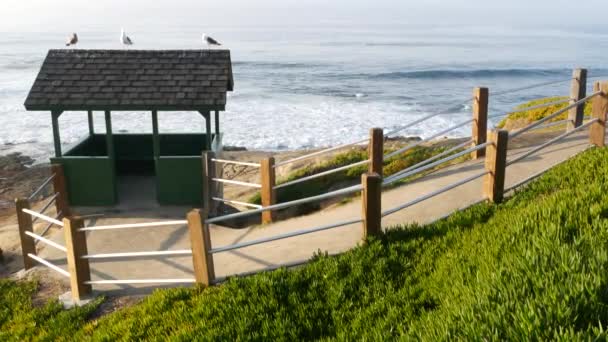 Çatıda martı kuşları var. Ahşap koruluktaki martılar, Pasifik Okyanusu 'nun su sıçratan dalgaları. Balkon kulübesi ve buz bitkisi dik yamaçtaki sulu yeşillik. Vista Point in La Jolla, San Diego, California USA — Stok video