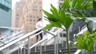 New York, ABD - 11 Eylül 2023 Manhattan Midtown ofis binaları, Lexington Bulvarı, ABD. Metro istasyonundan çıkan yayalar, 53. Cadde 'deki merdivenler, Amerikan şehir yaşamı..