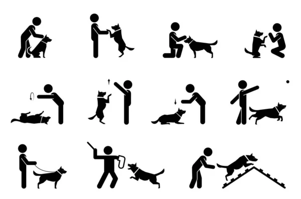 Chiens d'entraînement sur polygone . — Image vectorielle