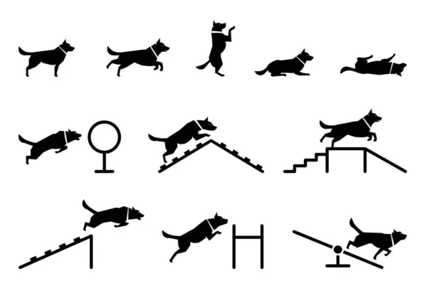 Набор икон, представляющих различные позы тела собак . — стоковый вектор