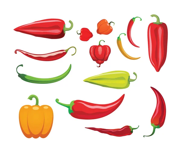 Verschiedene Arten Von Paprika Allen Farben Formen Und Größen Chili — Stockvektor