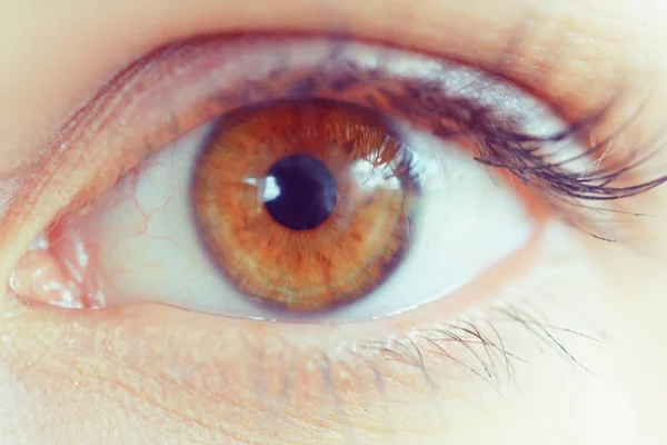 Kadın kahverengi göz — Stok fotoğraf