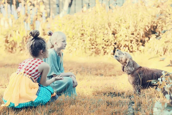 Duas Meninas Bonitos Brincando Com Cão Parque Verão — Fotografia de Stock