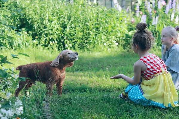 Two Cute Little Girls Playing Dog Summer Park — Stock Photo, Image