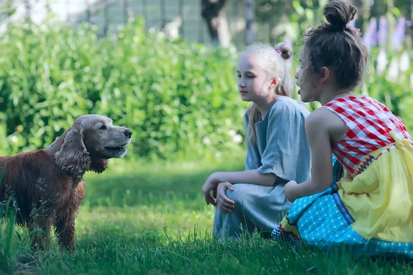 夏の公園で犬と遊ぶ二人のかわいい少女 — ストック写真