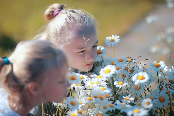 Söta Små Flickor Sniffa Kamomillblommor — Stockfoto