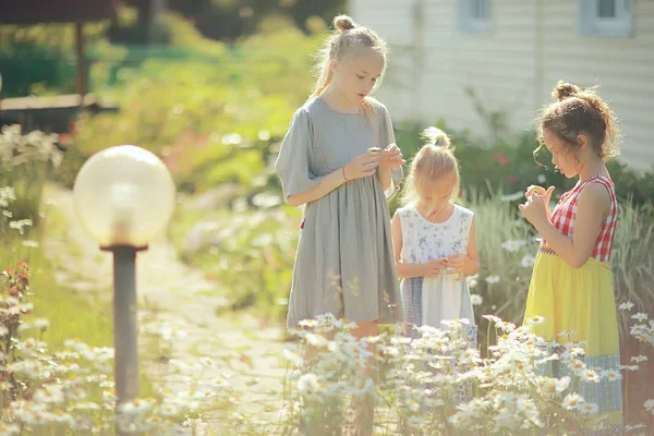 Drei Süße Kleine Mädchen Entspannen Der Sommerlichen Landschaft — Stockfoto