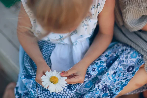 cute little girl guessing on chamomile flower