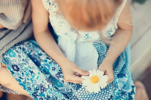 cute little girl guessing on chamomile flower