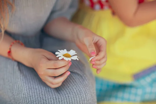 Mignonne Petite Fille Deviner Sur Fleur Camomille — Photo