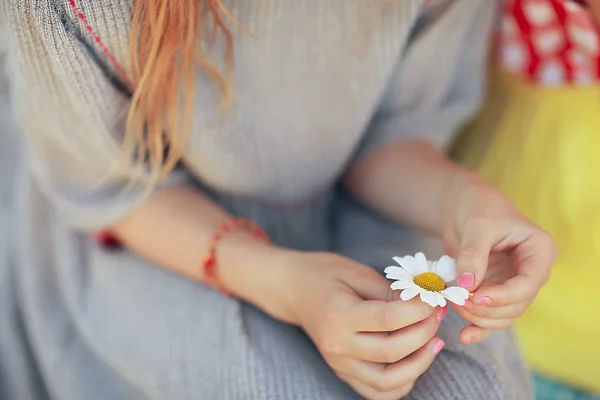 カモミールの花の推測しているかわいい女の子 — ストック写真