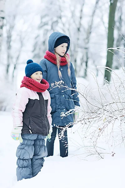 冬の公園で雪と遊ぶ二人の少女 子供の頃 家族の概念 — ストック写真