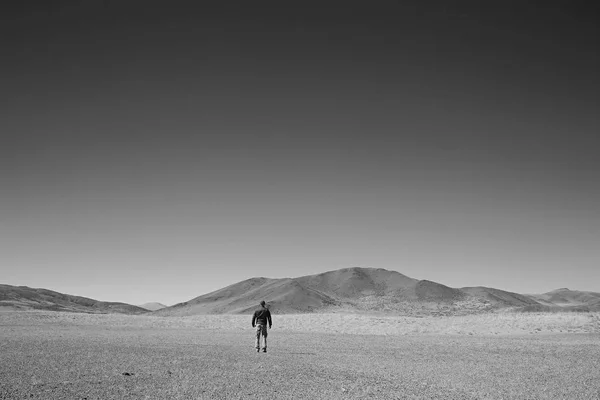 Uomo Solitario Che Viaggia Lungo Canyon Deserti Paesaggio Altopiani — Foto Stock