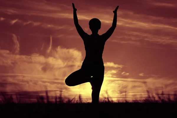 Silueta Mujer Joven Haciendo Yoga Césped Verano Atardecer —  Fotos de Stock