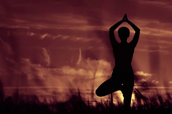 Silueta Mujer Joven Haciendo Yoga Césped Verano Atardecer —  Fotos de Stock