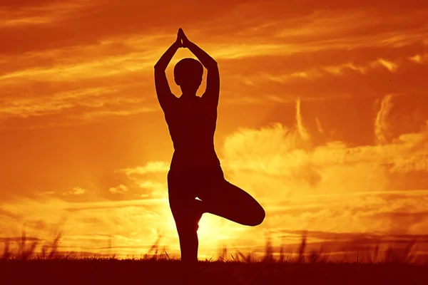 Silueta Mujer Joven Haciendo Yoga Césped Verano Atardecer —  Fotos de Stock