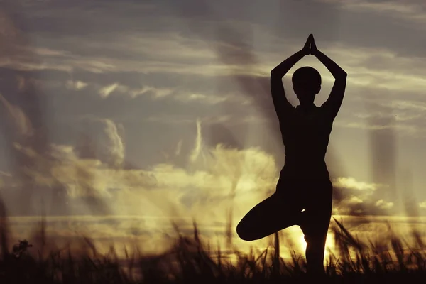 Silueta Mujer Joven Haciendo Yoga Césped Verano Atardecer —  Fotos de Stock