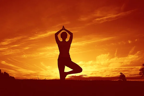 Silhouette Giovane Donna Che Yoga Prato Estivo Tramonto — Foto Stock