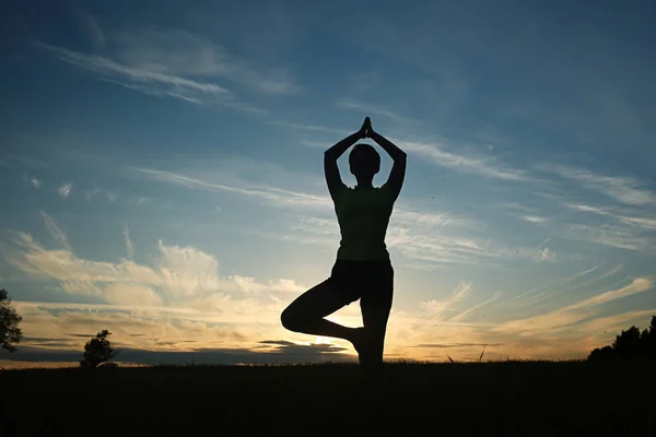 Silhouette Giovane Donna Che Yoga Prato Estivo Tramonto — Foto Stock