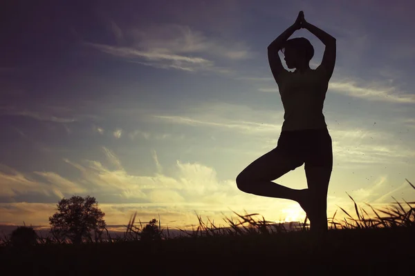 Silueta Mujer Joven Haciendo Yoga Césped Verano Atardecer —  Fotos de Stock