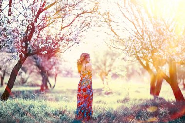 bir bahar çiçek açan Park, elma çiçeği genç güzel kadın portresi