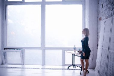 Güzel sarışın kadının portresi. 