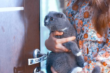 onun silah, mutluluk, ev konfor kavramı içinde kedi olan kadın