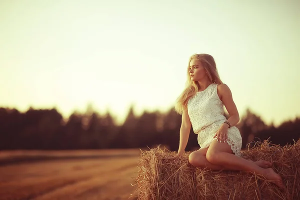 Giovane Bella Donna Con Capelli Lunghi Posa Campo Avena Vacanze — Foto Stock