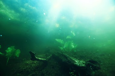 Göl alt yosun ile sualtı görüntüleme