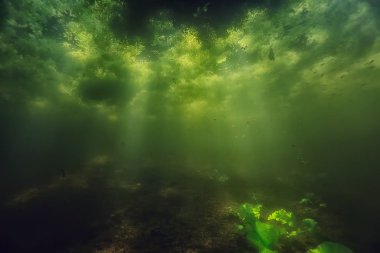 Göl ekosistemi ve güneş ışınları sualtı