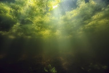 Göl ekosistemi ve güneş ışınları sualtı